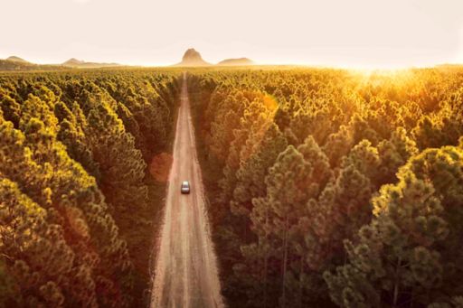 Project SUN - Image of a car driving through a road path in the middle of a forest 